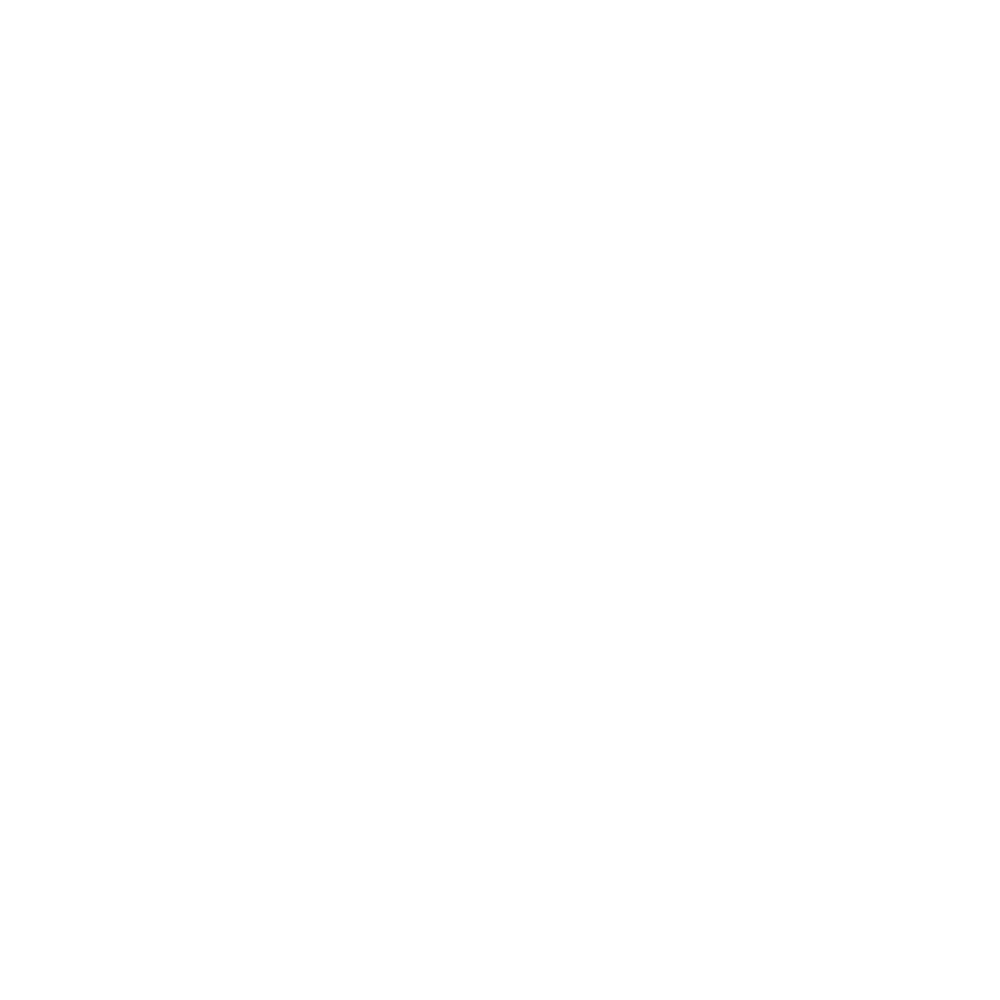 logo blanco loko